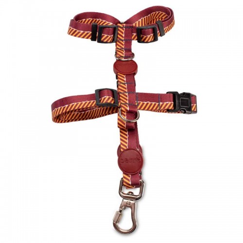 GUIA E PEITORAL PERRO H SHOW G