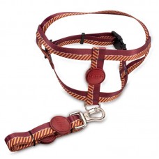 50792 - GUIA E PEITORAL PERRO TRAD SHOW PP