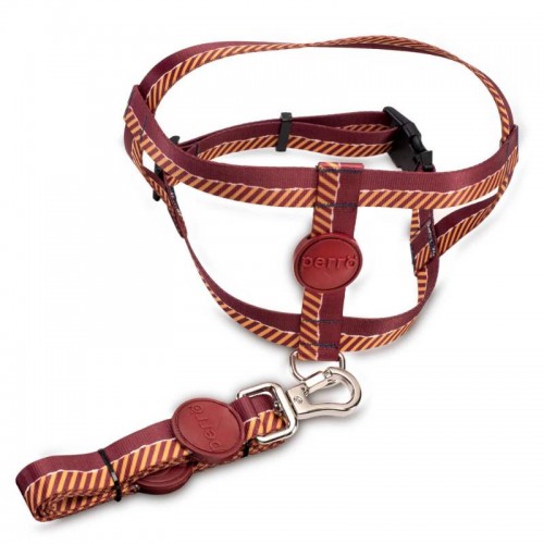 GUIA E PEITORAL PERRO TRAD SHOW P