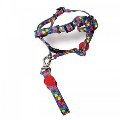 GUIA E PEITORAL PERRO AMERICANO ABSTRA G