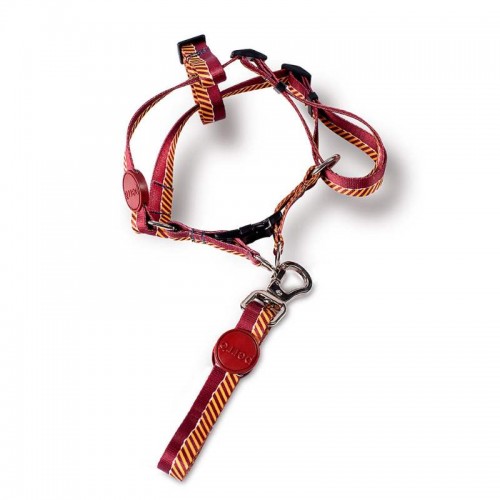 GUIA E PEITORAL PERRO AMERICANO SHOW G