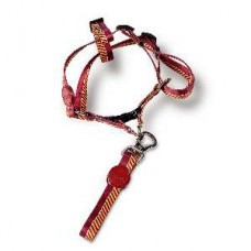 50848 - GUIA E PEITORAL PERRO AMERICANO SHOW M