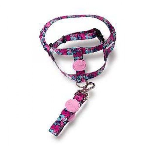 GUIA E PEITORAL PERRO TRAD PINKCOLORS PP