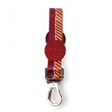 50870 - GUIA PERRO SHOW M