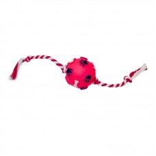 12074 - BOLA PATA OSSO MINI COLOR C CORDA 28CM