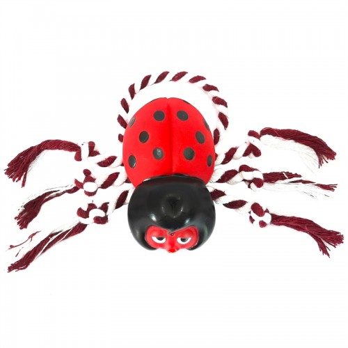 JOANINHA C CORDA 24CM