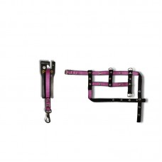 50752 - GUIA E PEITORAL GRANDE PORTE P