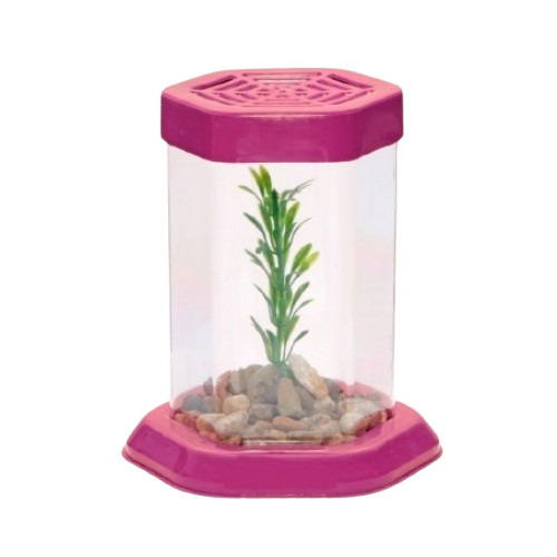 BETEIRA EUROPA DECOR 700ML