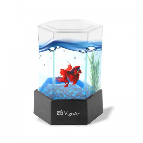 BETEIRA BETTAFLEX MINI DECOR 600ML