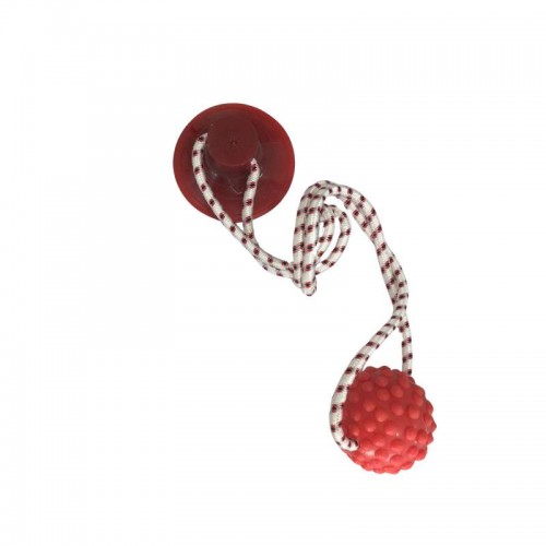 PUXE PET C BOLA G 60CM