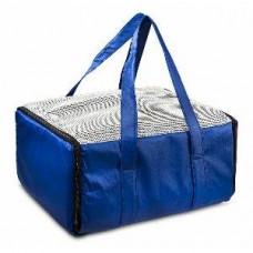 11159 - BOLSA DE TRANSP AEREO PADRAO AZUL