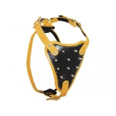 50275 - PEITORAL PITBULL C/PINO 54X69CM