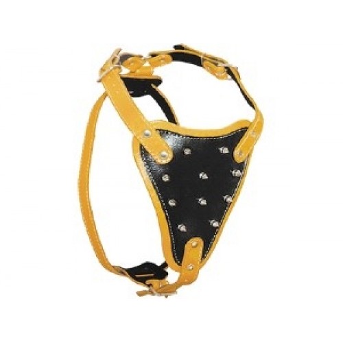 PEITORAL PITBULL C/PINO 54X69CM