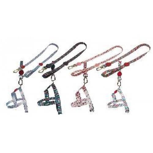 GUIA E PEITORAL TRADICIONAL M