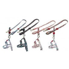 50626 - GUIA E PEITORAL TRADICIONAL PP