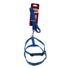 50595 - GUIA E PEITORAL GREGA N01